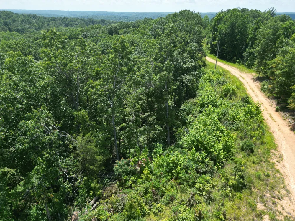 0 Petty Drive Linden, TN 37096