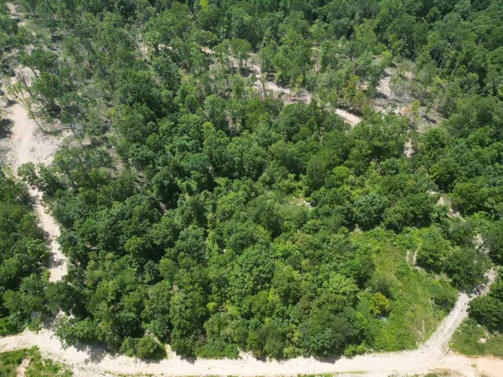 0 Petty Drive Linden, TN 37096