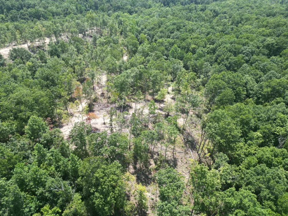 0 Petty Drive Linden, TN 37096