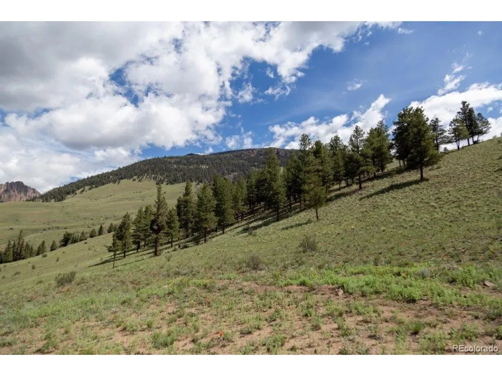 Address Not Shown Creede, CO 81130