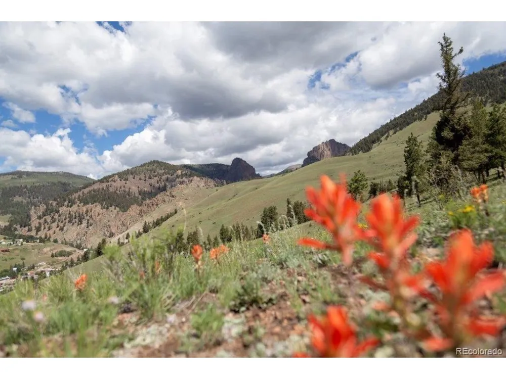 Address Not Shown Creede, CO 81130