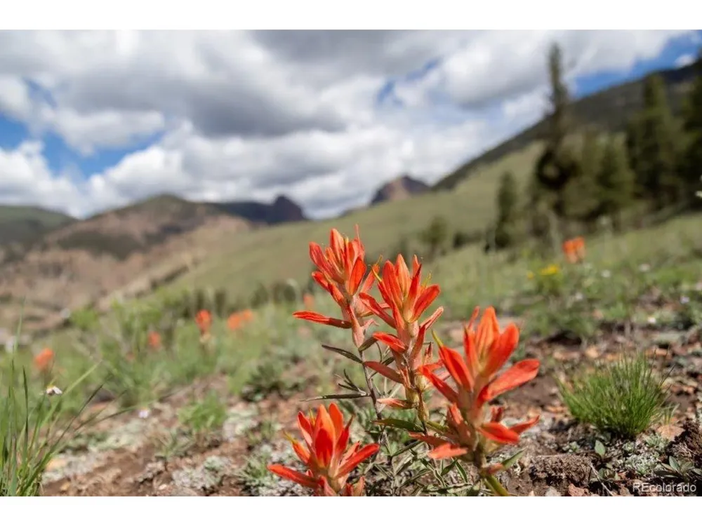 Address Not Shown Creede, CO 81130