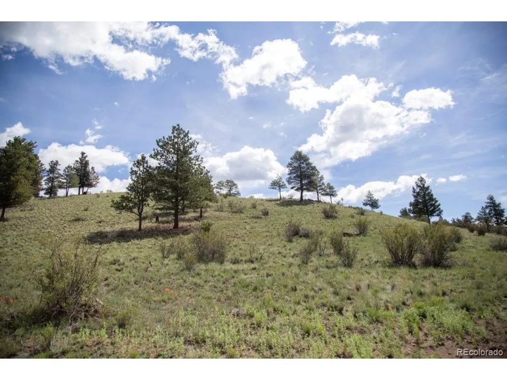 Address Not Shown Creede, CO 81130