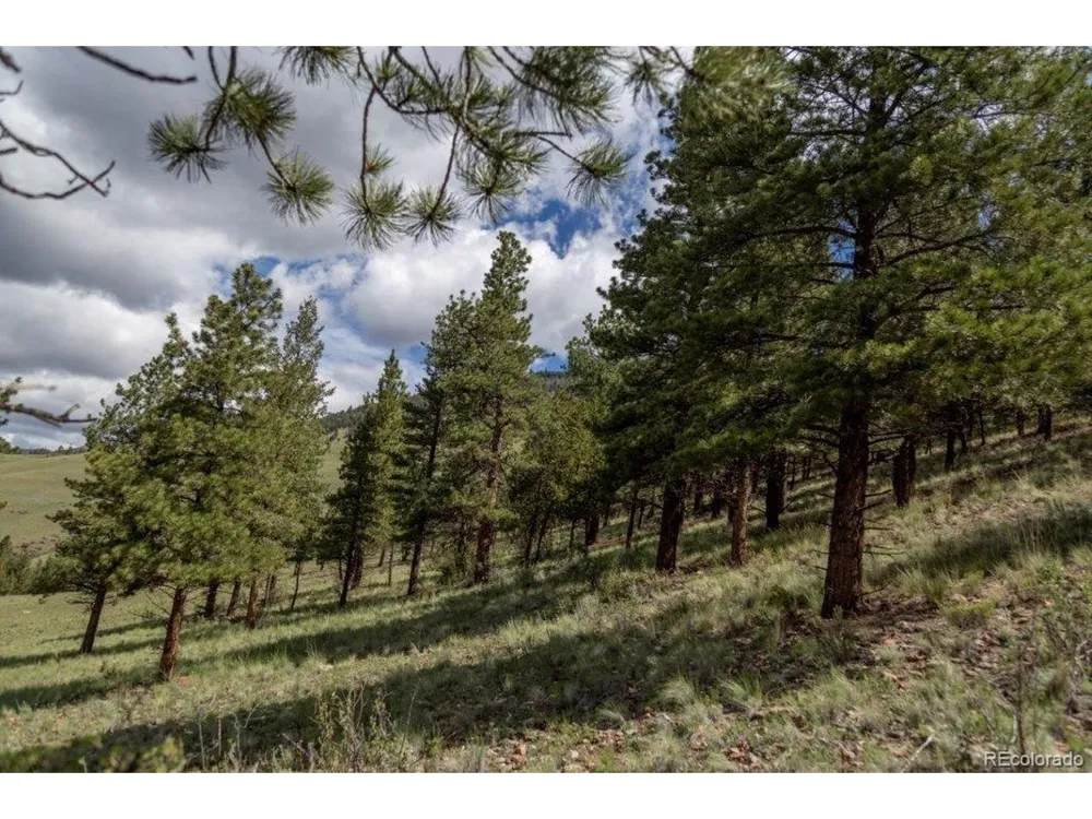 Address Not Shown Creede, CO 81130