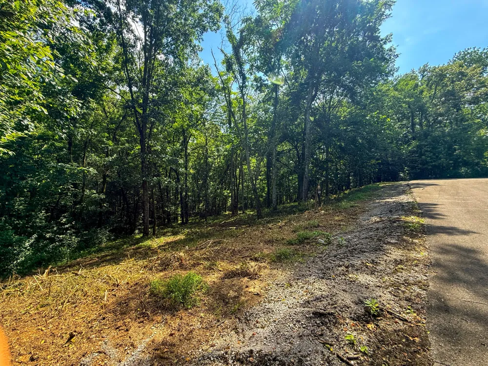 0 Savannah Dr Smithville, TN 37166