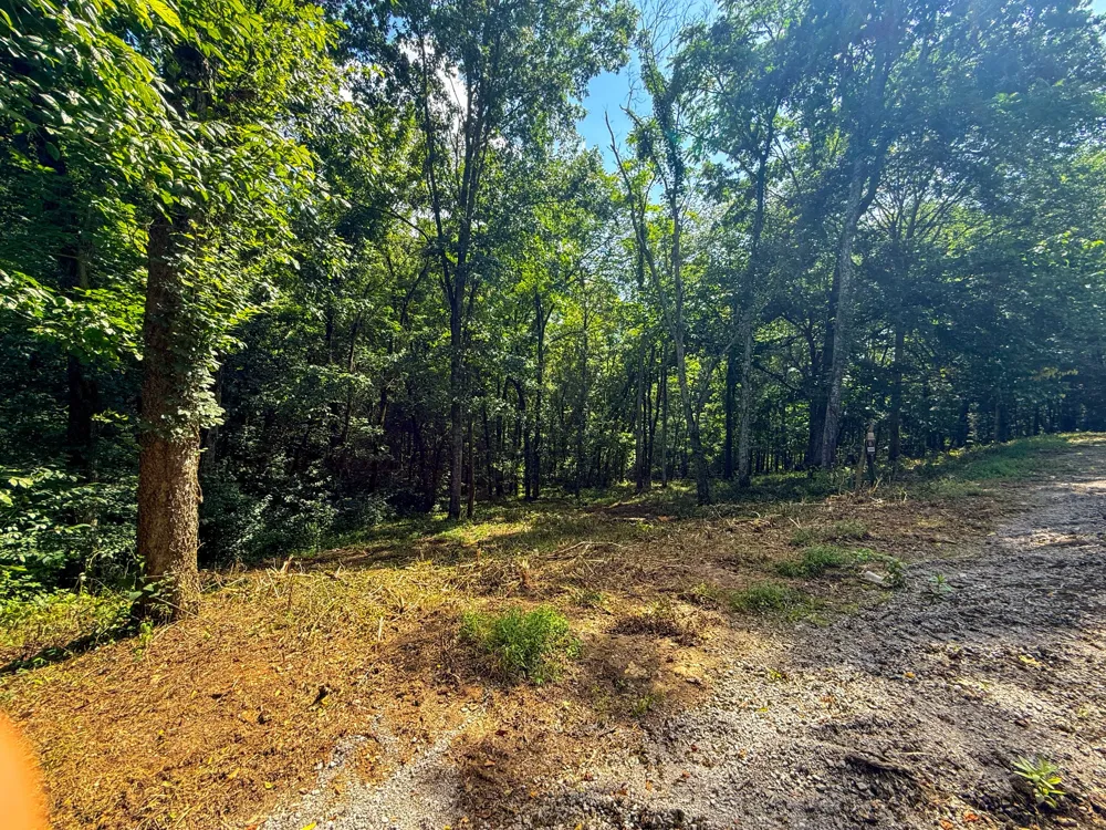 0 Savannah Dr Smithville, TN 37166