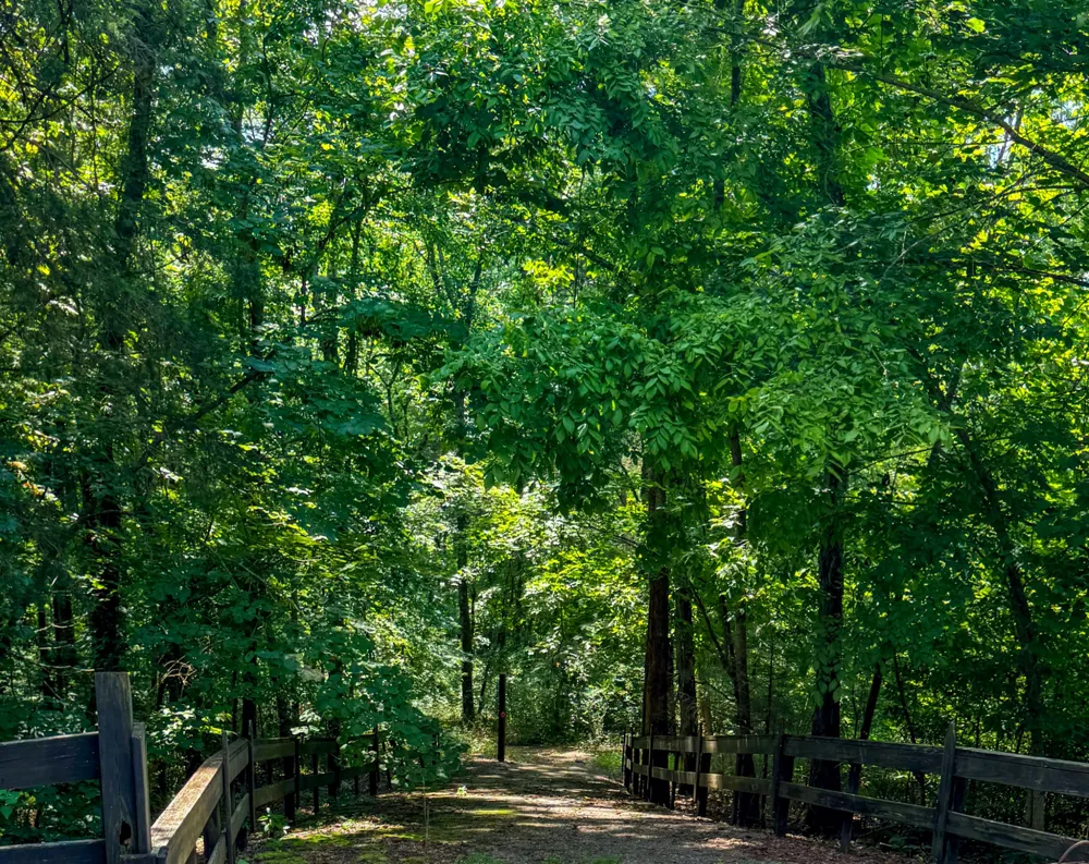 0 Savannah Dr Smithville, TN 37166