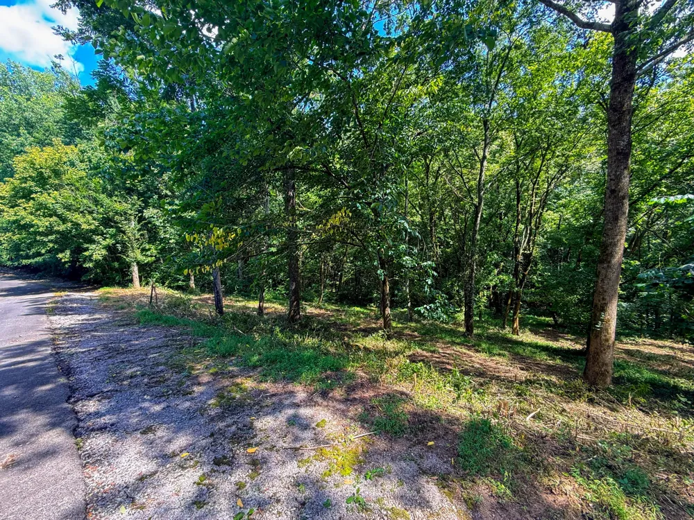 0 Savannah Dr Smithville, TN 37166