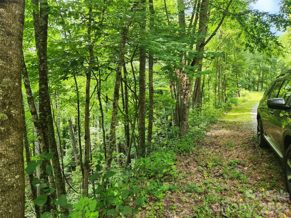 00 Green Ridge Falls Road Weaverville, NC 28787