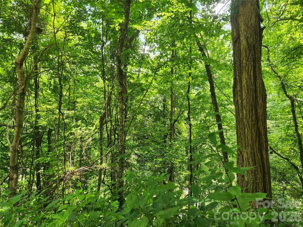 00 Green Ridge Falls Road Weaverville, NC 28787
