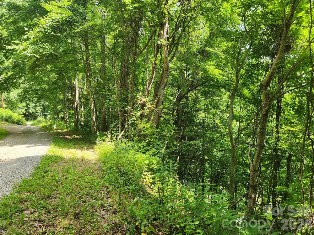 00 Green Ridge Falls Road Weaverville, NC 28787