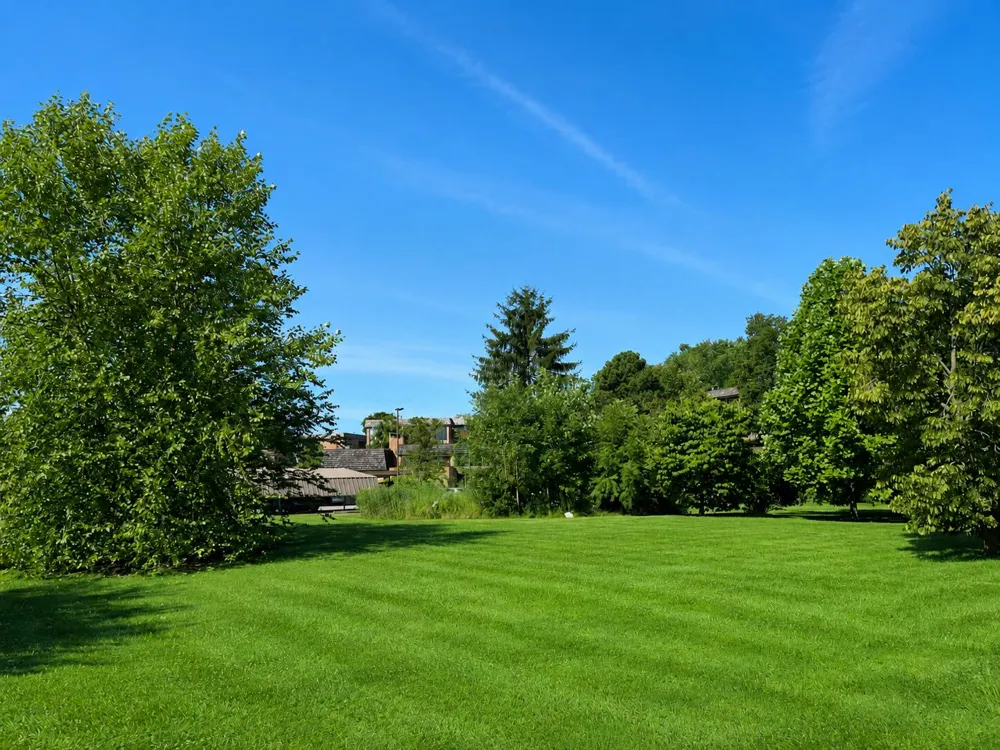2104 Pauline Boulevard #205 Ann Arbor, MI 48103