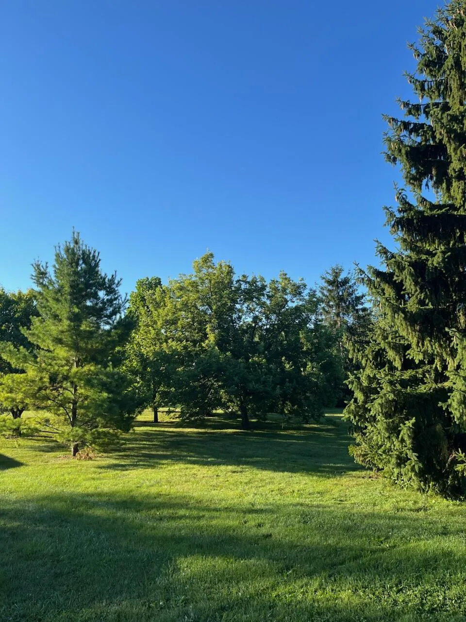 2104 Pauline Boulevard #205 Ann Arbor, MI 48103