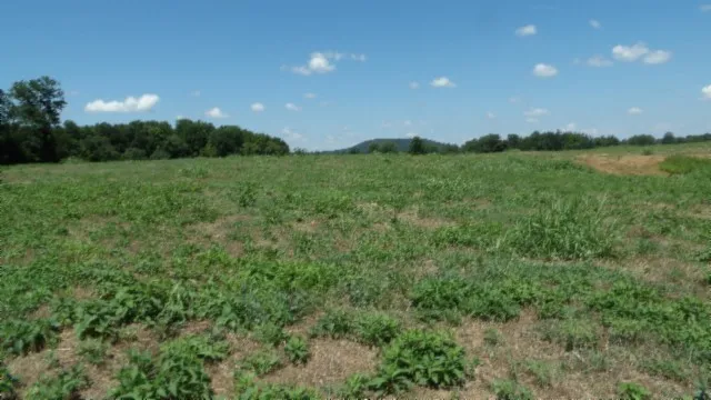 0 Ranchside Court Rock Island, TN 38581