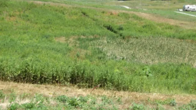 0 Ranchside Court Rock Island, TN 38581