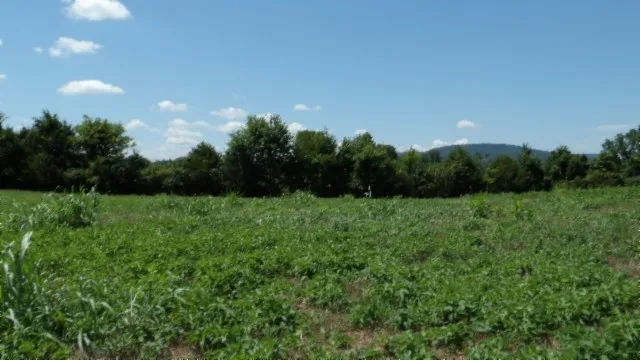 0 Ranchside Court Rock Island, TN 38581
