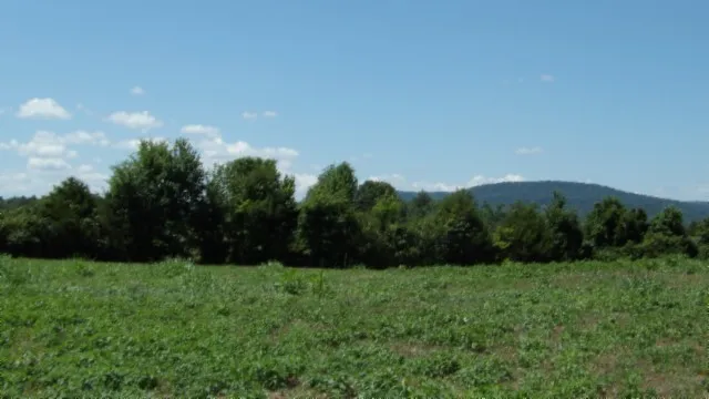 0 Ranchside Court Rock Island, TN 38581