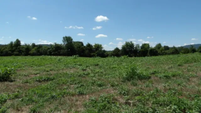 0 Ranchside Court Rock Island, TN 38581