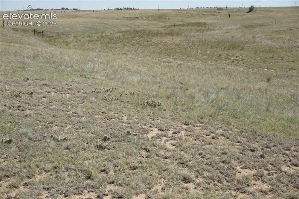 143 Holtwood Road Rush, CO 80833