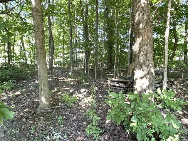 4084 Hartman Road Sodus, MI 49126