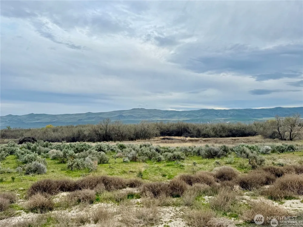 6 Road 13.6 SW Royal City, WA 99357