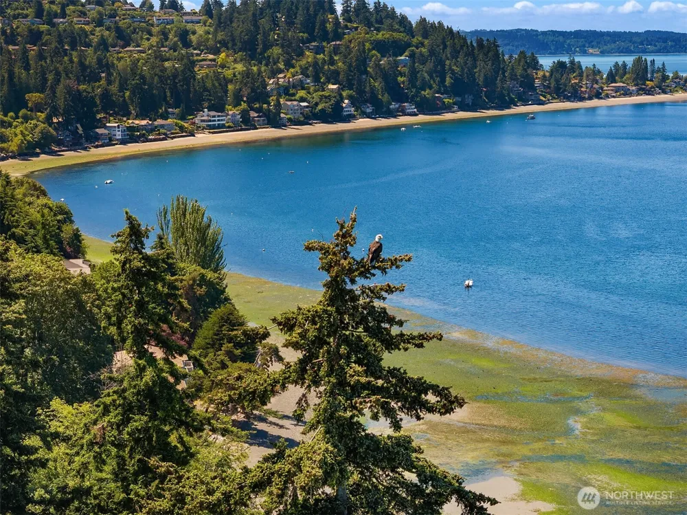 2714 SW 152nd Pl Burien, WA 98166