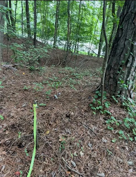 3343 Powder Springs Road