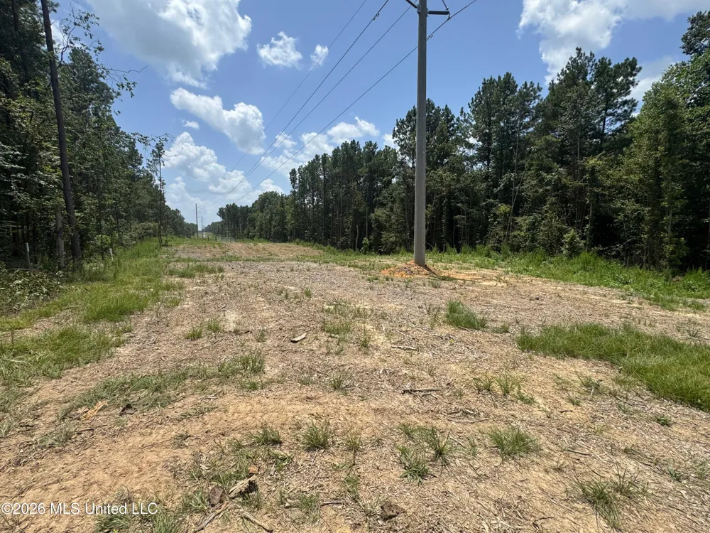 000 SW Maude Lane Bogue Chitto, MS 39629