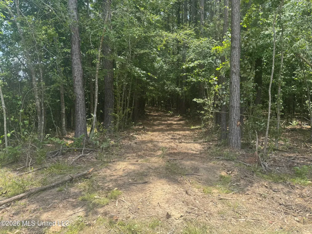 000 SW Maude Lane Bogue Chitto, MS 39629