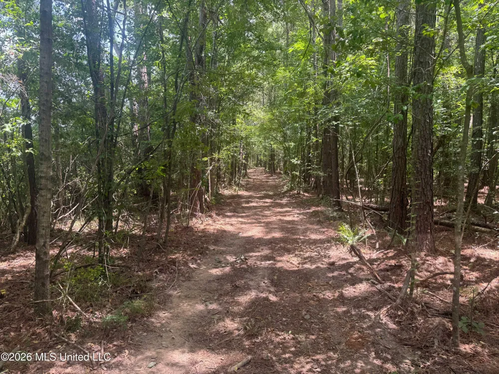 000 SW Maude Lane Bogue Chitto, MS 39629