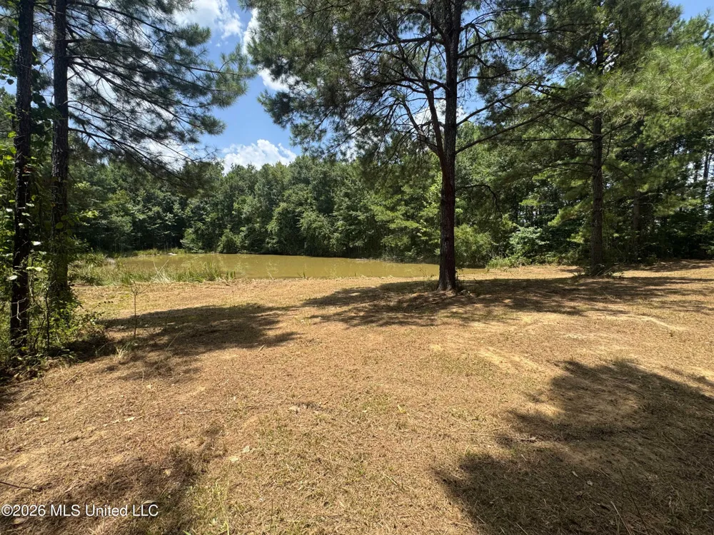 000 SW Maude Lane Bogue Chitto, MS 39629