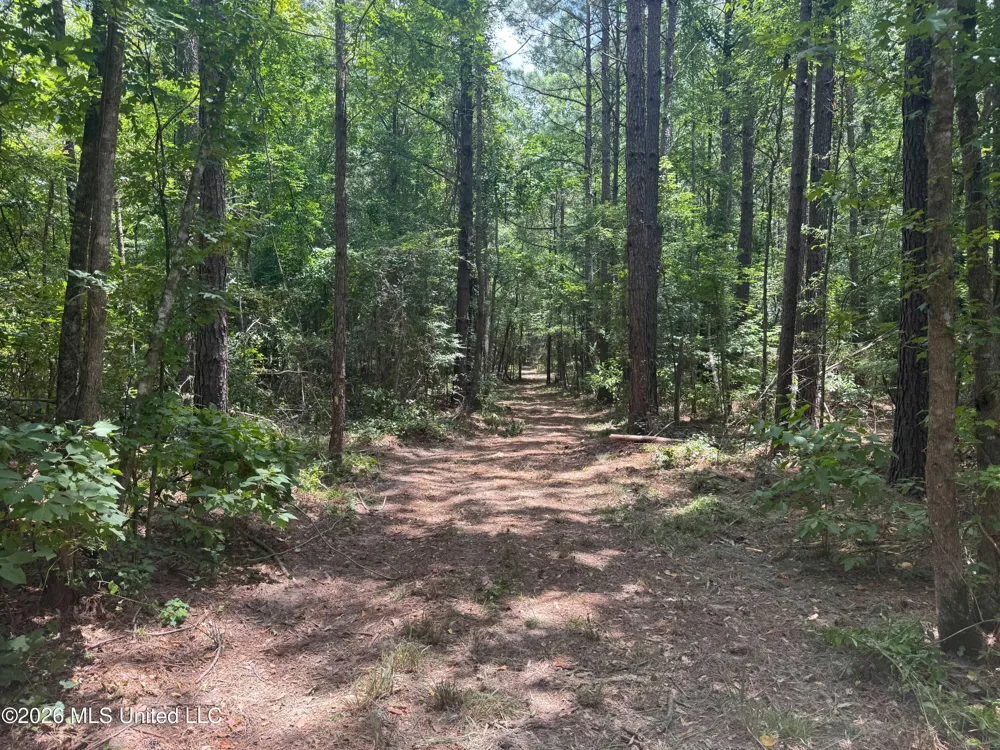 000 SW Maude Lane Bogue Chitto, MS 39629