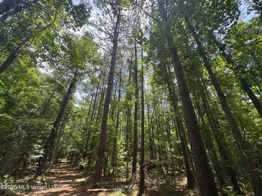 000 SW Maude Lane Bogue Chitto, MS 39629