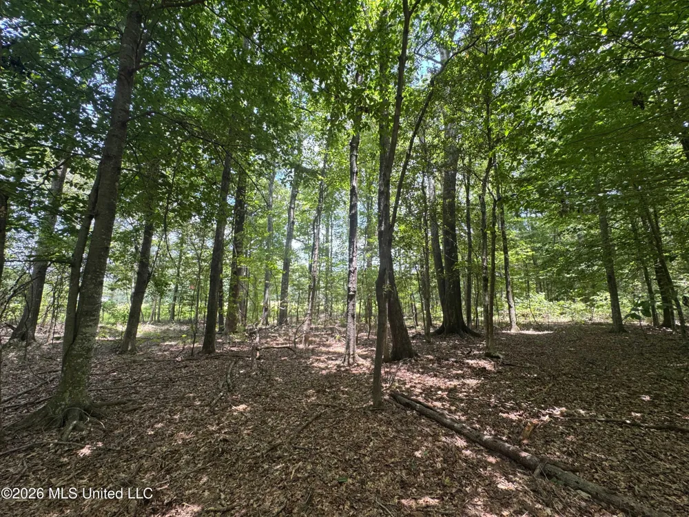 000 SW Maude Lane Bogue Chitto, MS 39629