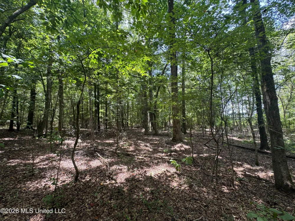 000 SW Maude Lane Bogue Chitto, MS 39629