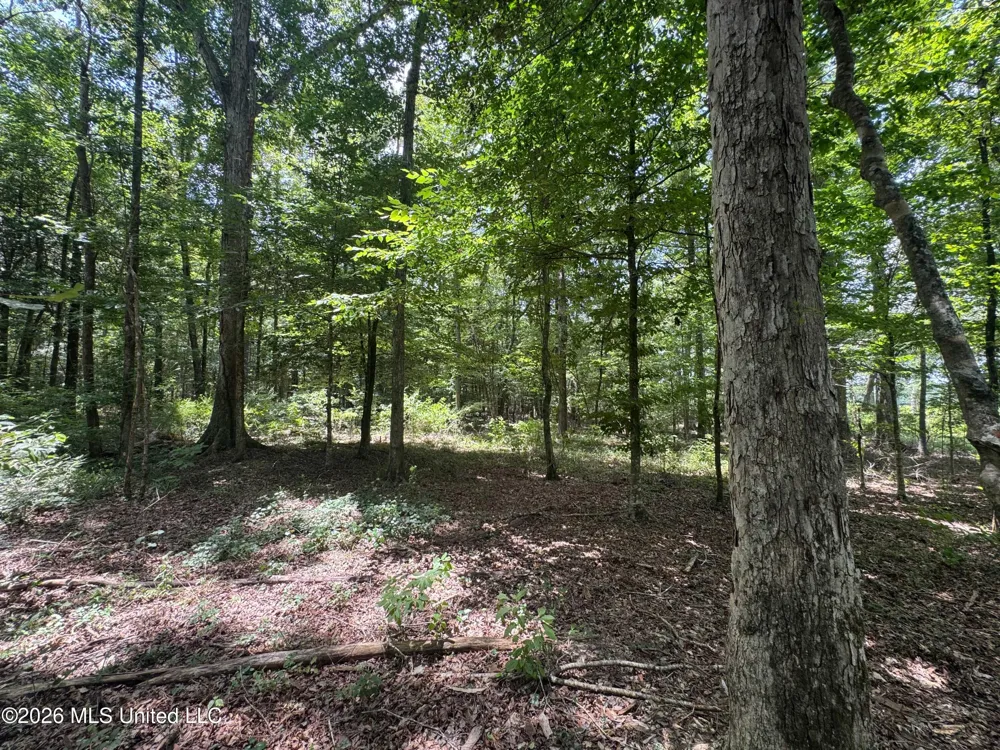 000 SW Maude Lane Bogue Chitto, MS 39629