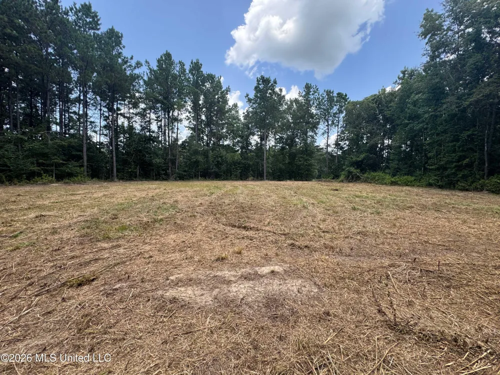 000 SW Maude Lane Bogue Chitto, MS 39629