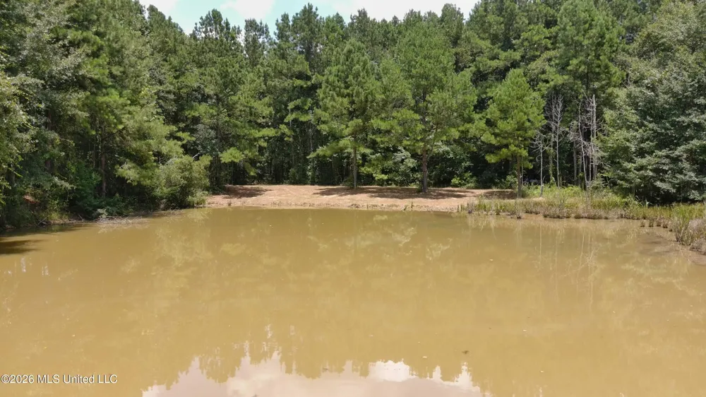 000 SW Maude Lane Bogue Chitto, MS 39629