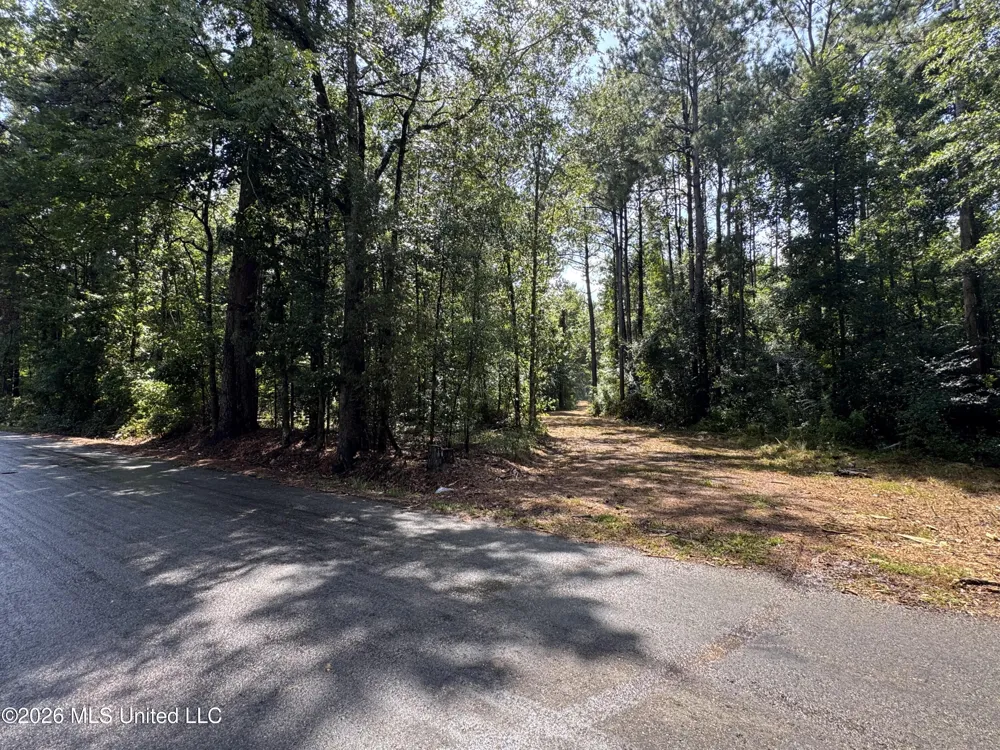000 SW Maude Lane Bogue Chitto, MS 39629