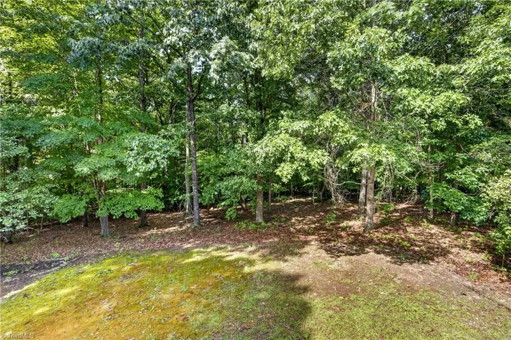 313 Daniel Paul Drive Archdale, NC 27263