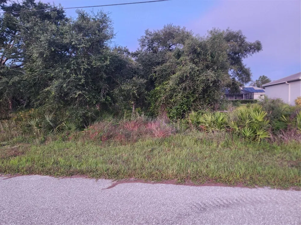 2164 PEASLEY STREET Port Charlotte, FL 33948