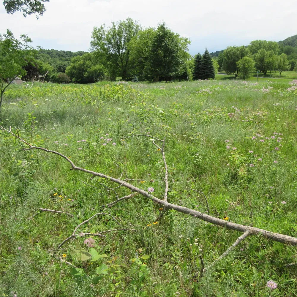 Lot 12 516th Street Menomonie, WI 54751