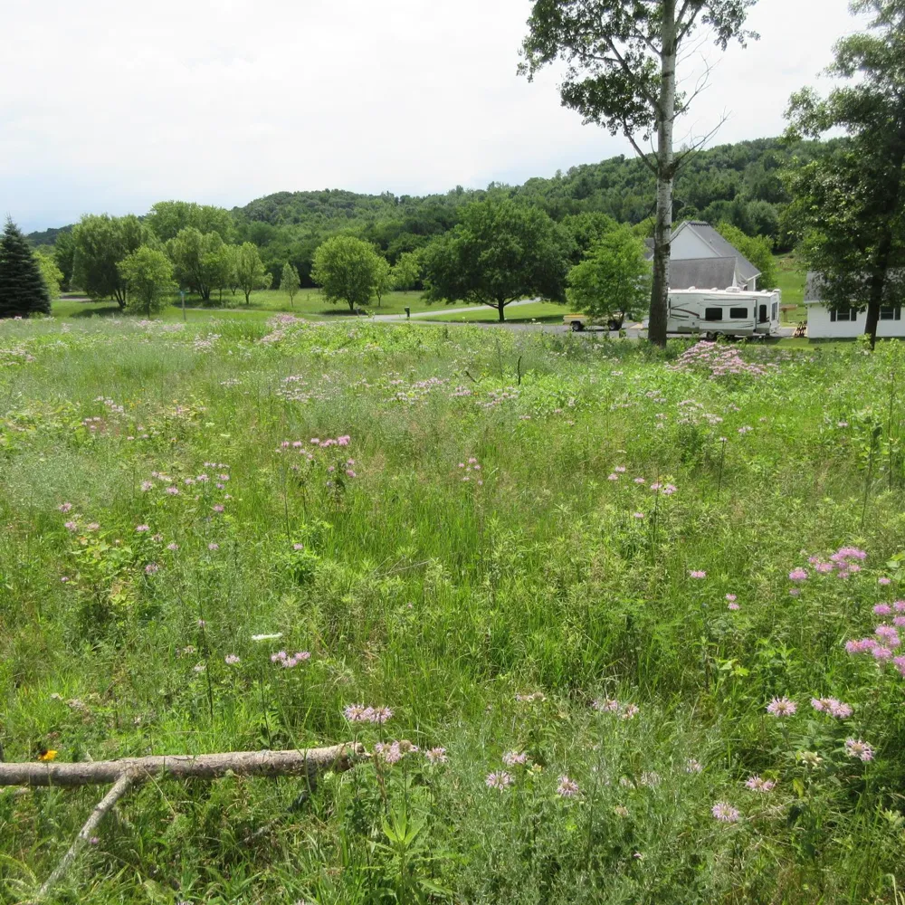 Lot 12 516th Street Menomonie, WI 54751