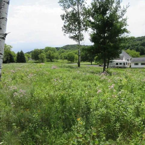 Lot 12 516th Street