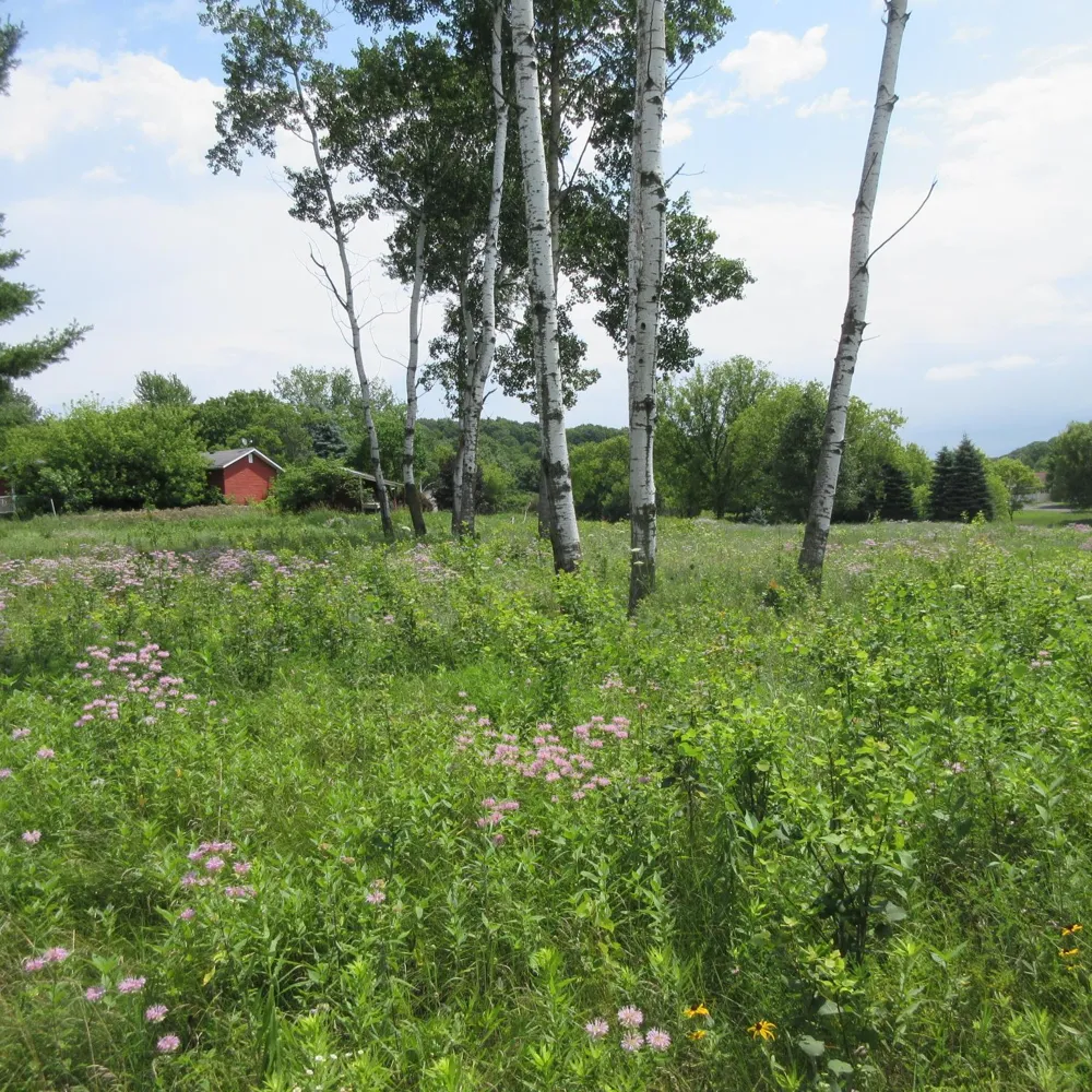 Lot 12 516th Street Menomonie, WI 54751
