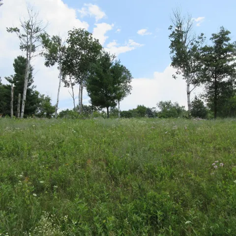 Lot 13 Street