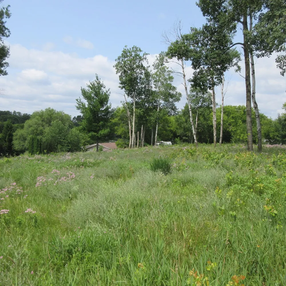 Lot 13 Street Menomonie, WI 54751