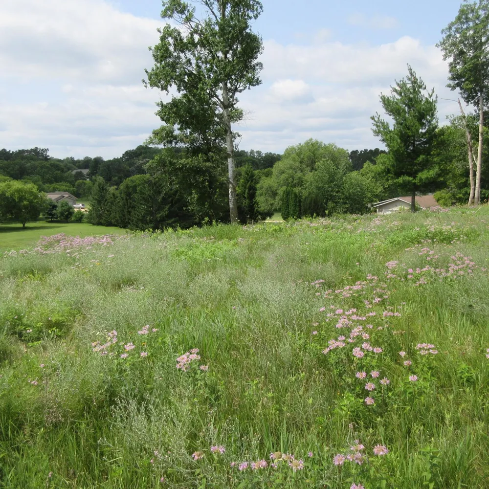 Lot 13 Street Menomonie, WI 54751
