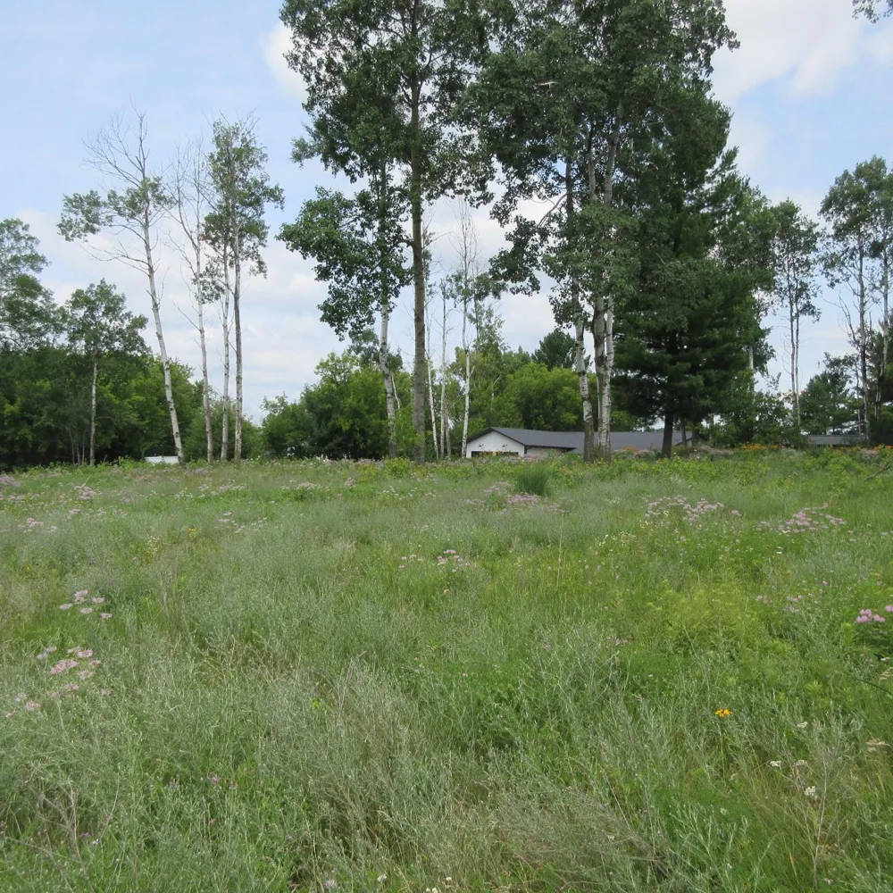 Lot 13 Street Menomonie, WI 54751