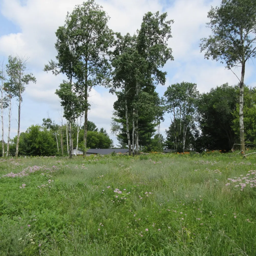 Lot 13 Street Menomonie, WI 54751